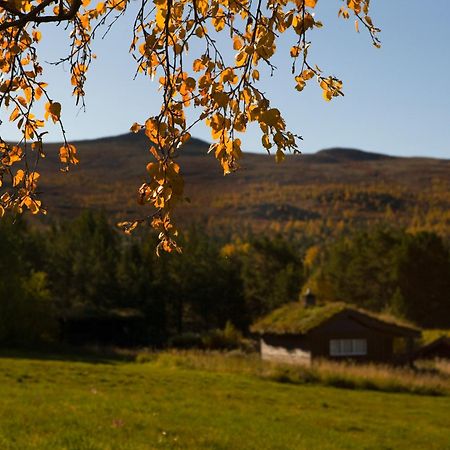 Oigardseter Fjellstue Hotell Høvringen Exteriör bild